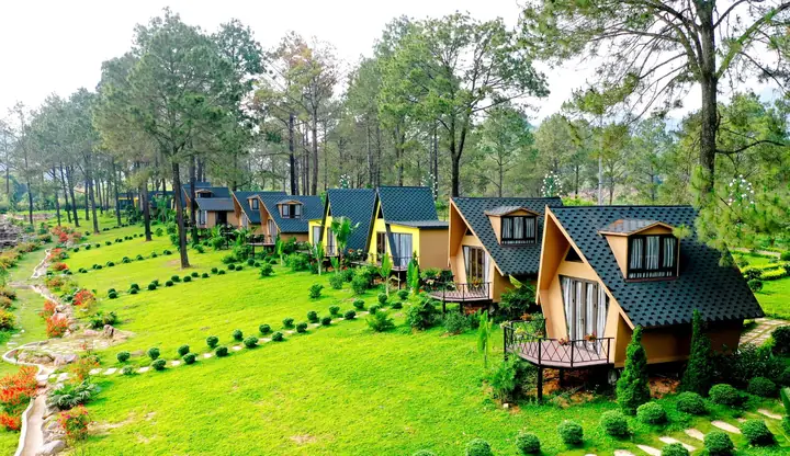 Rừng Thông Bản Áng: Khám Phá Đà Lạt Thu Nhỏ Tây Bắc