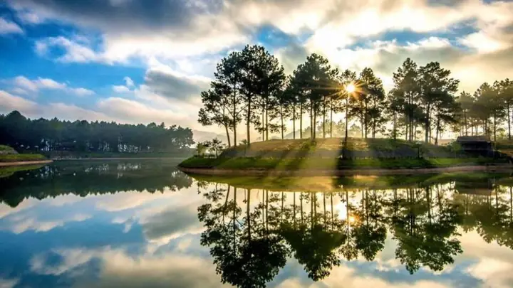 Rừng Thông Bản Áng Mộc Châu: Không Gian Trong Lành Tây Bắc