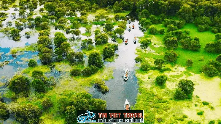 Rừng Tràm Trà Sư: Cẩm Nang Khám Phá An Giang