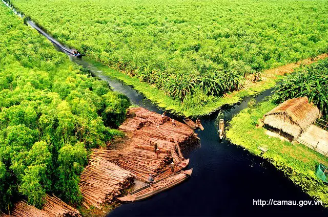 Khám Phá Vườn Quốc Gia U Minh Hạ: Hướng Dẫn Du Lịch Chi Tiết