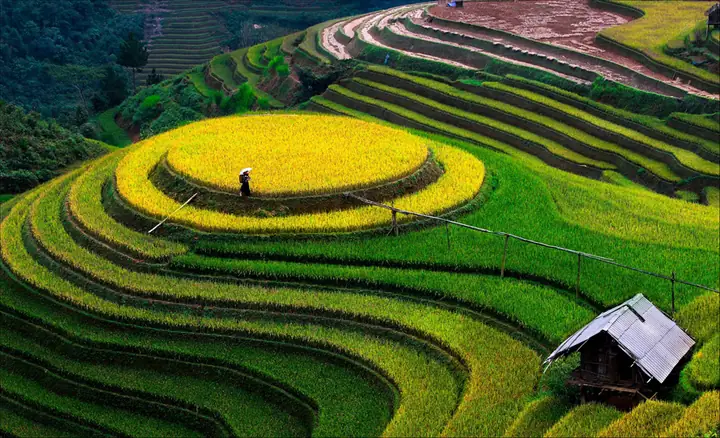 Khám Phá Nơi Ruộng Bậc Thang Thường Được Làm Ở Sườn Núi Khám Phá Nơi Ruộng Bậc Thang Thường Được Làm Ở Sườn Núi