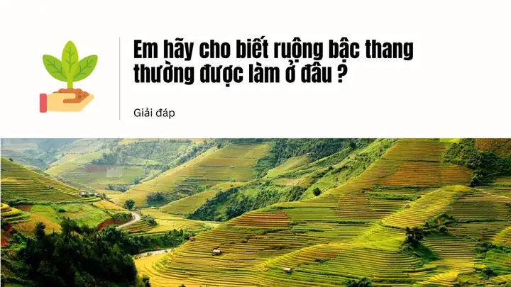 Khám Phá Nơi Ruộng Bậc Thang Thường Được Làm Ở Sườn Núi Khám Phá Nơi Ruộng Bậc Thang Thường Được Làm Ở Sườn Núi