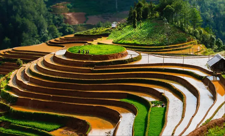 Khám Phá Nơi Ruộng Bậc Thang Thường Được Làm Ở Sườn Núi Khám Phá Nơi Ruộng Bậc Thang Thường Được Làm Ở Sườn Núi