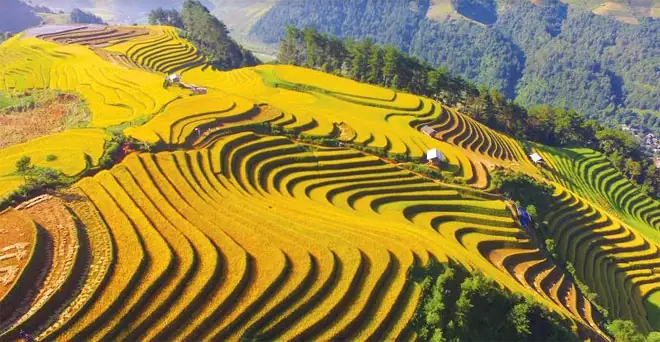 Khám Phá Nơi Ruộng Bậc Thang Thường Được Làm Ở Sườn Núi Khám Phá Nơi Ruộng Bậc Thang Thường Được Làm Ở Sườn Núi