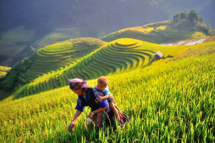 Khám Phá Nơi Ruộng Bậc Thang Thường Được Làm Ở Sườn Núi