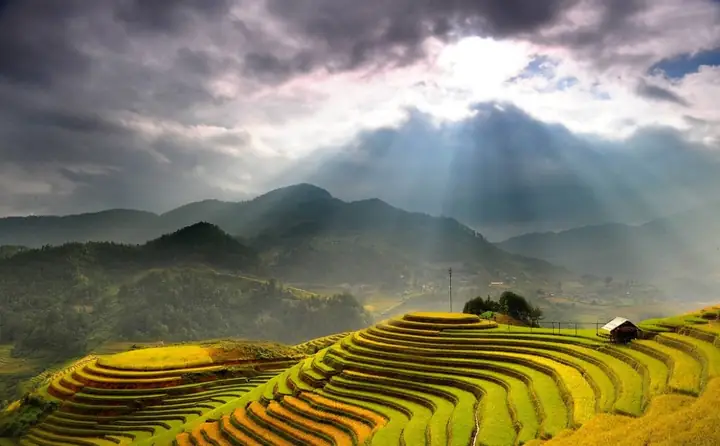 Ruộng Bậc Thang Hoàng Su Phì: Điểm Đến Đáng Nhớ Ở Vùng Cao Nguyên
