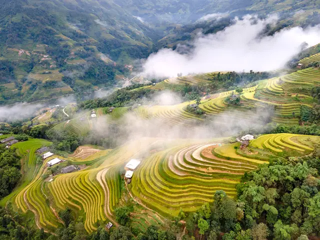 Ruộng Bậc Thang Hoàng Su Phì: Điểm Đến Đáng Nhớ Ở Vùng Cao Nguyên