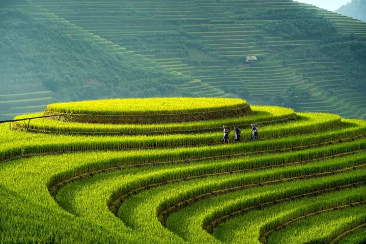 Khám Phá La Pán Tẩn – Đồi Mâm Xôi Nổi Tiếng Của Mù Cang Chải