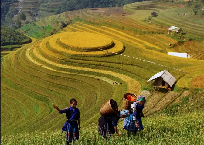 Khám Phá La Pán Tẩn – Đồi Mâm Xôi Nổi Tiếng Của Mù Cang Chải