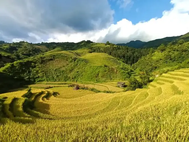 Khám Phá La Pán Tẩn – Đồi Mâm Xôi Nổi Tiếng Của Mù Cang Chải