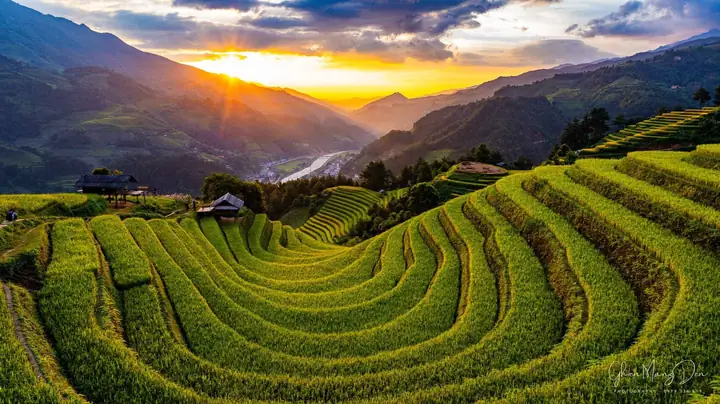 Ruộng Bậc Thang Mù Cang Chải: Hướng Dẫn Khám Phá Và Kinh Nghiệm Thực Tế