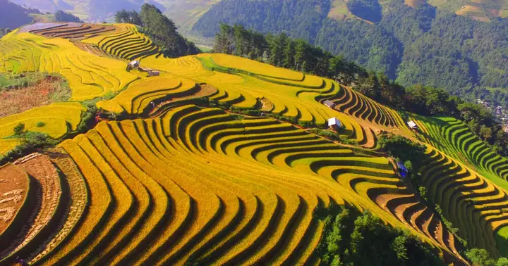 Ruộng Bậc Thang Ở Tỉnh Nào? Tìm Hiểu Địa Danh Nổi Tiếng Ruộng Bậc Thang Ở Tỉnh Nào? Tìm Hiểu Địa Danh Nổi Tiếng
