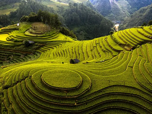 Ruộng Bậc Thang Ở Tỉnh Nào? Tìm Hiểu Địa Danh Nổi Tiếng Ruộng Bậc Thang Ở Tỉnh Nào? Tìm Hiểu Địa Danh Nổi Tiếng