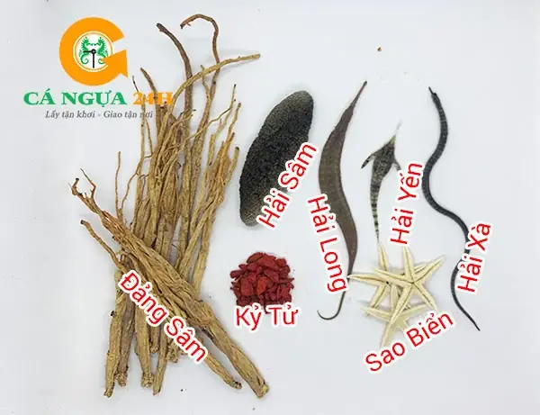 Hướng Dẫn Ngâm Rượu Cá Ngựa: Cách Làm Liều Lượng& Công Dụng