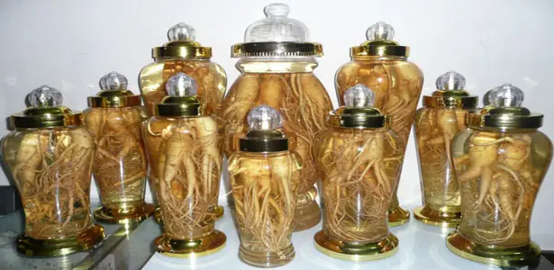 Hướng Dẫn Chi Tiết Cách Ngâm Rượu Ngô Chuẩn Vị Tây Bắc