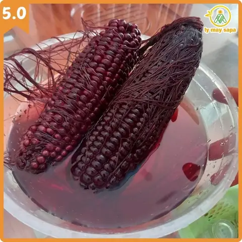 Tổng Hợp Tác Dụng Của Rượu Ngô Cho Sức Khỏe Và Cách Dùng