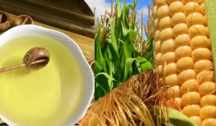Top 7 Loại Rượu Ngô Truyền Thống Và Địa Chỉ Mua Uy Tín Top 7 Loại Rượu Ngô Truyền Thống Và Địa Chỉ Mua Uy Tín