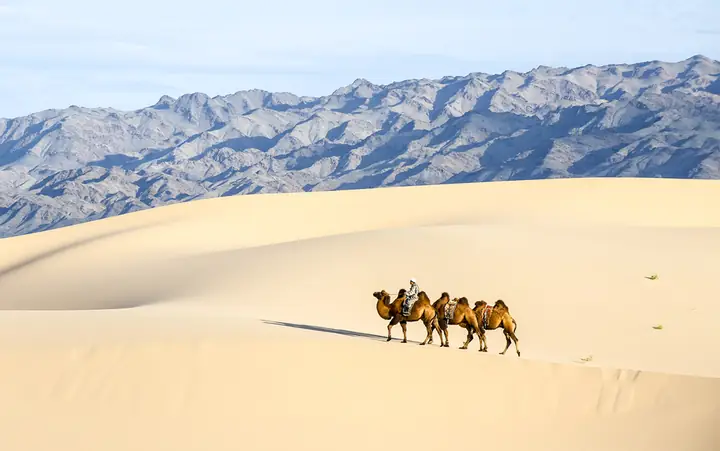 Khám Phá Sa Mạc Gobi: Đặc Điểm, Lịch Sử Và Điểm Du Lịch Hấp Dẫn