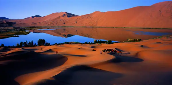 Khám Phá Sa Mạc Gobi: Đặc Điểm, Lịch Sử Và Điểm Du Lịch Hấp Dẫn