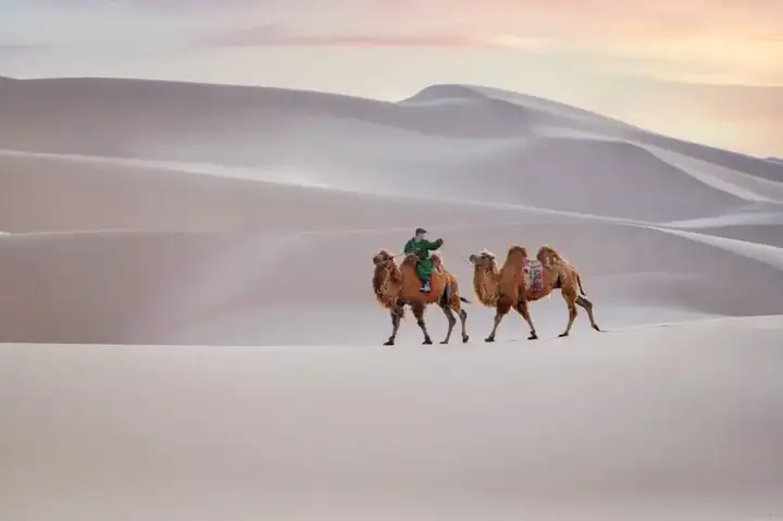 Khám Phá Sa Mạc Gobi: Đặc Điểm, Lịch Sử Và Điểm Du Lịch Hấp Dẫn
