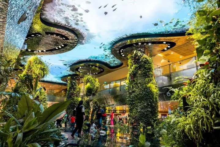 Hướng Dẫn Chi Tiết Khám Phá Sân Bay Changi Singapore