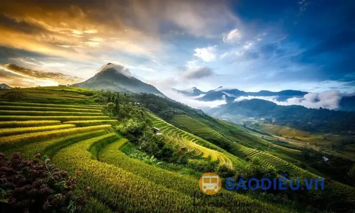 Sapa Lào Cai Có Gì Đẹp? Khám Phá Vẻ Đẹp Độc Táo Của Vùng Cao