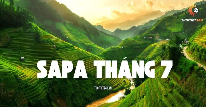 Khám Phá Du Lịch Sapa Tháng 7: Hướng Dẫn Chi Tiết Cho Du Khách