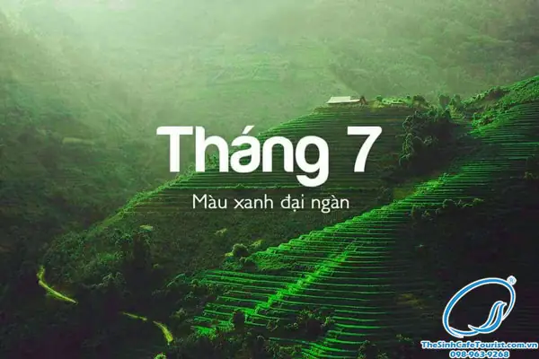Khám Phá Du Lịch Sapa Tháng 7: Hướng Dẫn Chi Tiết Cho Du Khách Khám Phá Du Lịch Sapa Tháng 7: Hướng Dẫn Chi Tiết Cho Du Khách