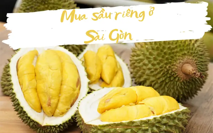 Hướng Dẫn Chọn, Mua & Bảo Quản Sầu Riêng Ngon Tại Tp.hcm