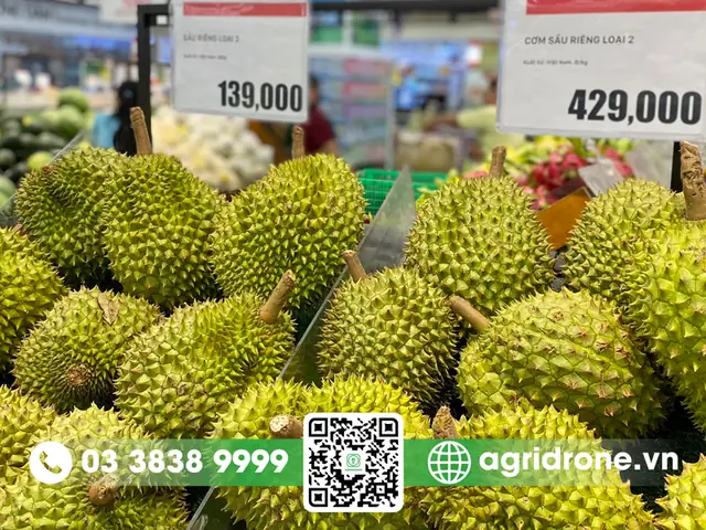 Hướng Dẫn Chọn, Mua & Bảo Quản Sầu Riêng Ngon Tại Tp.hcm