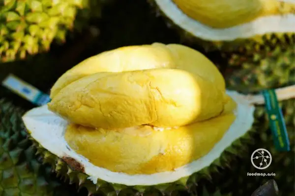 Khám Phá Sầu Riêng Ngon Nhất Việt Nam: Top 7 Vùng & Giống Đứng Đầu Khám Phá Sầu Riêng Ngon Nhất Việt Nam: Top 7 Vùng & Giống Đứng Đầu
