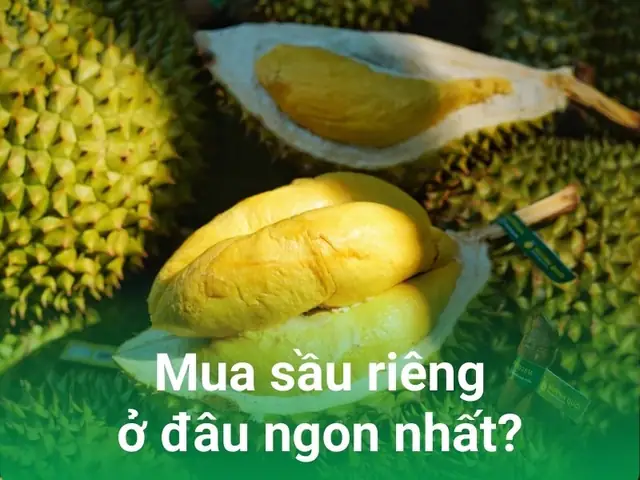 Khám Phá Sầu Riêng Ngon Nhất Việt Nam: Top 7 Vùng & Giống Đứng Đầu Khám Phá Sầu Riêng Ngon Nhất Việt Nam: Top 7 Vùng & Giống Đứng Đầu