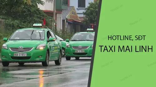 Taxi Mai Linh Sài Gòn: Đánh Giá Chi Tiết Và Số Điện Thoại Liên Hệ
