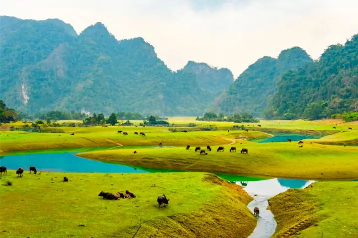Khám Phá Toàn Diện Xã Sơn Hà – Hữu Lũng: Lịch Sử, Dân Số & Giao Thông