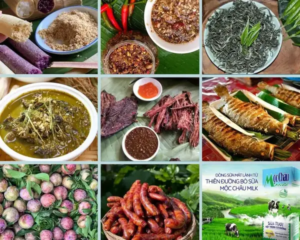 Khám Phá 12 Đặc Sản Sơn La Không Thể Bỏ Lỡ Cho Du Khách
