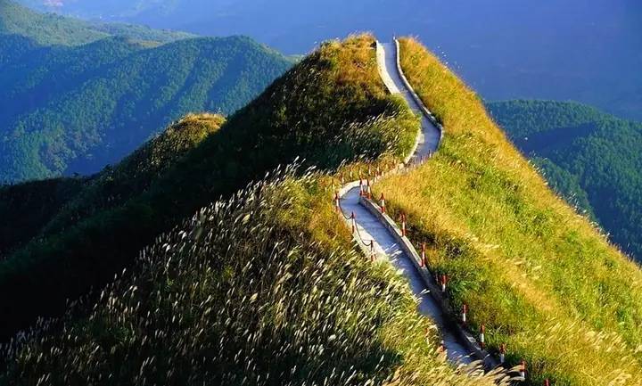 Sống Lưng Khủng Long Bình Liêu: Vẻ Đẹp & Kinh Nghiệm Khám Phá
