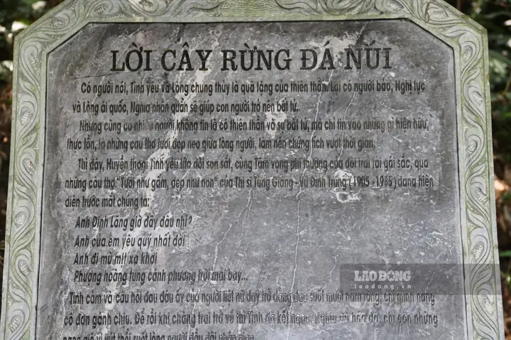 Khám Phá Sự Tích Đồi Thông Hai Mộ – Câu Chuyện Tình Bi Thương