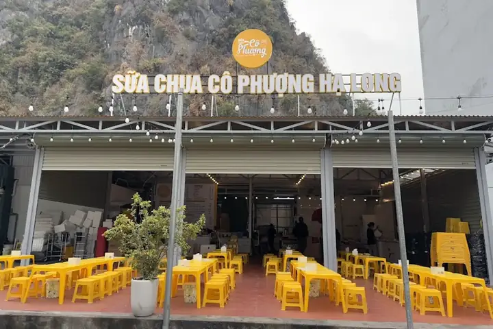 Khám Phá 10 Quán Sữa Chua Trân Châu Hạ Long Ngon Nhất