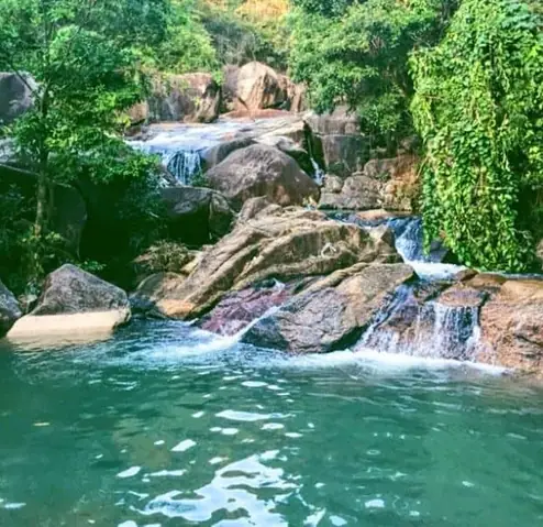 Khám Phá Suối Đá Vũng Tàu: Hướng Dẫn Du Lịch Cho Gia Đình Khám Phá Suối Đá Vũng Tàu: Hướng Dẫn Du Lịch Cho Gia Đình