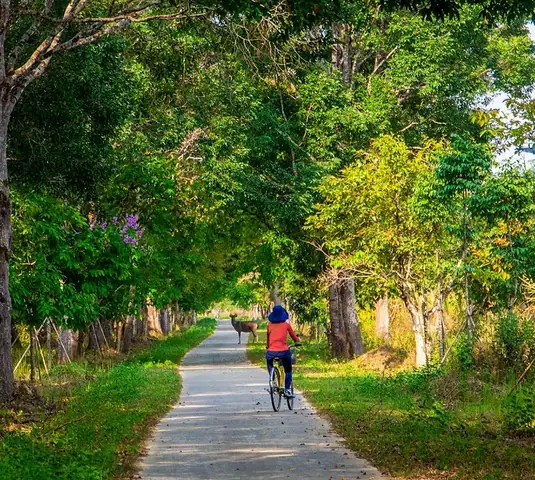 Khám Phá Tà Lài: Điểm Du Lịch Cộng Đồng Cho Du Khách