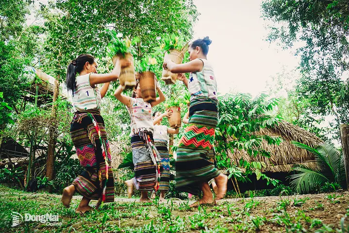 Khám Phá Tà Lài: Điểm Du Lịch Cộng Đồng Cho Du Khách