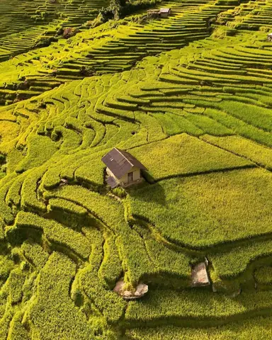 Đền Cô Bé Tả Van: Linh Thiêng Và Hấp Dẫn Giữa Lòng Sa Pa