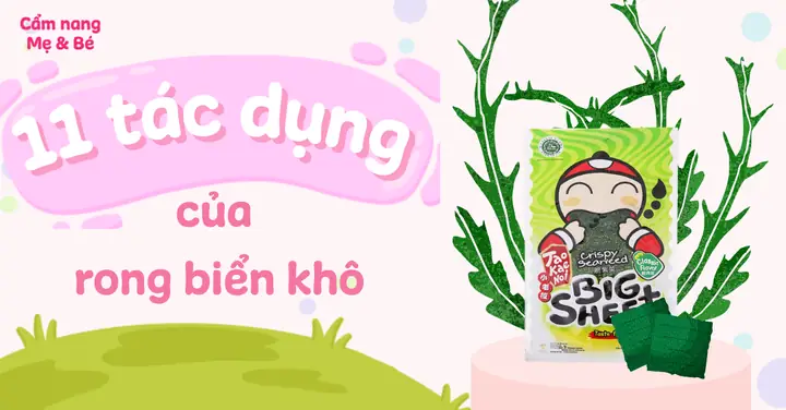 Khám Phá Lợi Ích Và Rủi Ro Khi Ăn Rong Biển Sấy Khô Khám Phá Lợi Ích Và Rủi Ro Khi Ăn Rong Biển Sấy Khô