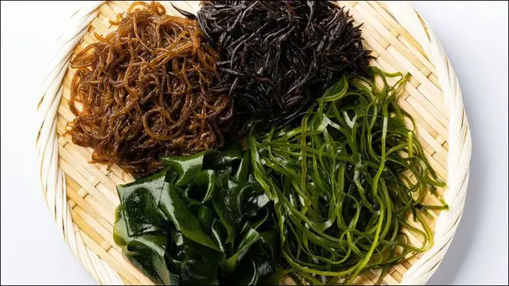 Khám Phá Lợi Ích Và Rủi Ro Khi Ăn Rong Biển Sấy Khô