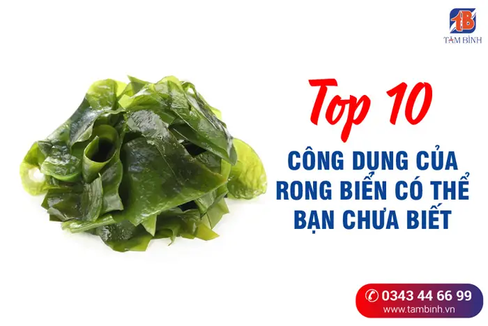 Khám Phá Lợi Ích Và Rủi Ro Khi Ăn Rong Biển Sấy Khô Khám Phá Lợi Ích Và Rủi Ro Khi Ăn Rong Biển Sấy Khô