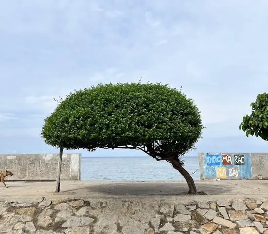 Tam Thanh Phú Quý Bình Thuận: Ý Nghĩa, Nguồn Gốc Và Ứng Dụng Trong Cuộc Sống Tam Thanh Phú Quý Bình Thuận: Ý Nghĩa, Nguồn Gốc Và Ứng Dụng Trong Cuộc Sống