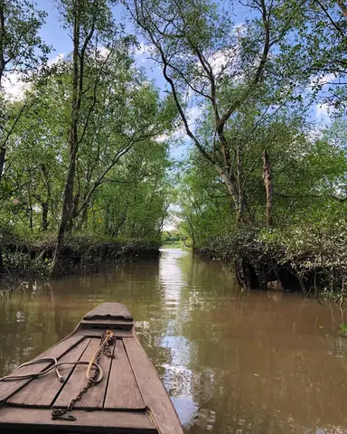 Khám Phá Cù Lao Tân Phong – Điểm Du Lịch Sinh Thái Bên Sông Tiền Khám Phá Cù Lao Tân Phong – Điểm Du Lịch Sinh Thái Bên Sông Tiền