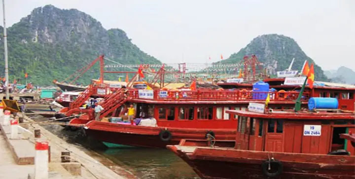 Tàu Cao Tốc Đi Cô Tô: Bảng Giá Vé, Lịch Trình Và Lựa Chọn Hãng Tàu Uy Tín