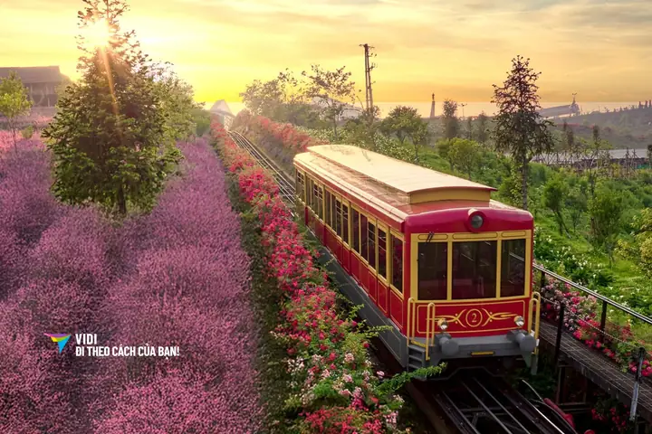 Khám Phá Tàu Hỏa Leo Núi Mường Hoa: Lịch Sử, Giá Vé, Trải Nghiệm Khám Phá Tàu Hỏa Leo Núi Mường Hoa: Lịch Sử, Giá Vé, Trải Nghiệm