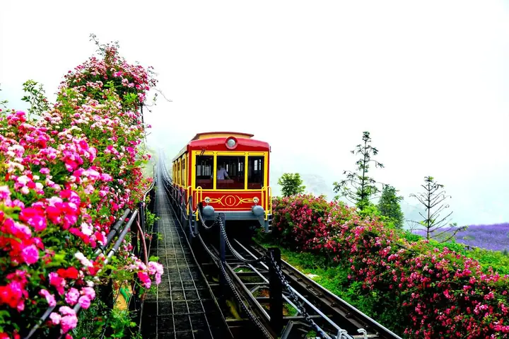 Khám Phá Tàu Hỏa Leo Núi Mường Hoa: Lịch Sử, Giá Vé, Trải Nghiệm Khám Phá Tàu Hỏa Leo Núi Mường Hoa: Lịch Sử, Giá Vé, Trải Nghiệm